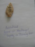 Arrowhead found in Blooming Point