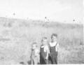 Bobby, Barry and Eric Doucette