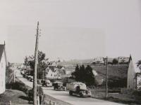 Potatoes on Their Way to Starch Factory