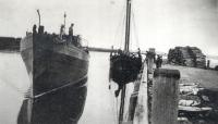 The Beatrice 