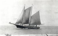 The Muriel