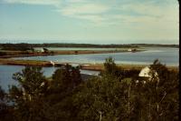 Coran Ban Bridge Summer
