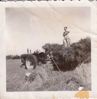 Hay Wagon