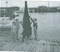 Children pose with a tuna caught off Tracadie