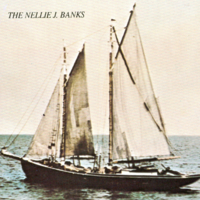 Nelly J Banks